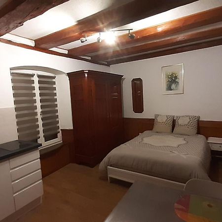 Appartement Vauban Кольмар Екстер'єр фото